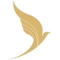 VARESH AIRLINE